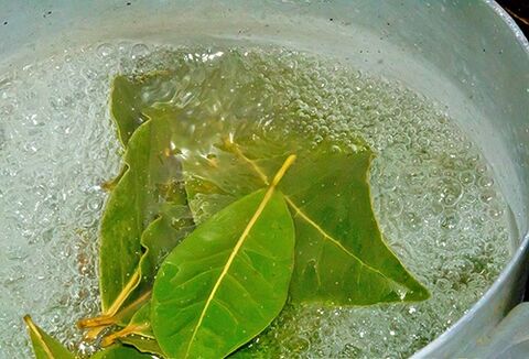 Une décoction de feuilles de laurier pour un bain relaxant en cas de problèmes de puissance. 